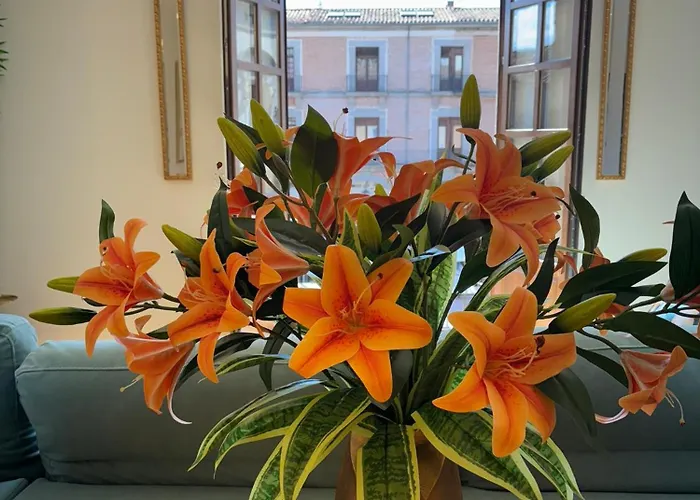 El Balcon Del Mercado Chico